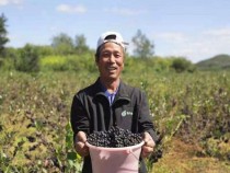 �ڹ��Ƽ���Ʒ