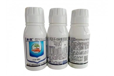 ���� ���������ʰ�