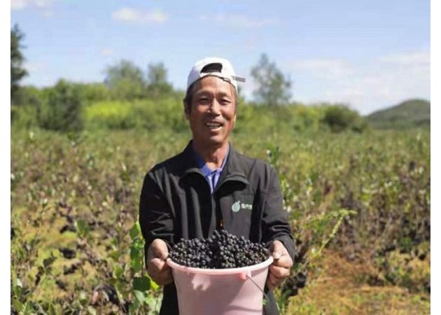 �ڹ��Ƽ���Ʒ