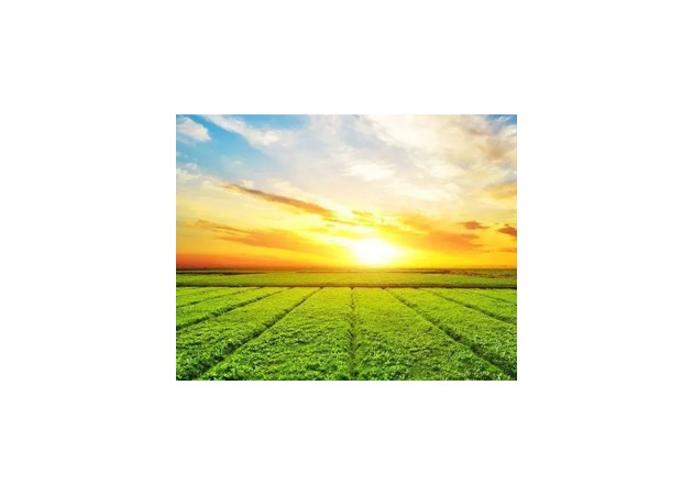 ����S36ɳ��������������������������޹�˾