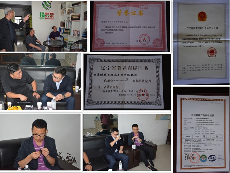 S36ɳ���� - Ҫ�����ɳ����