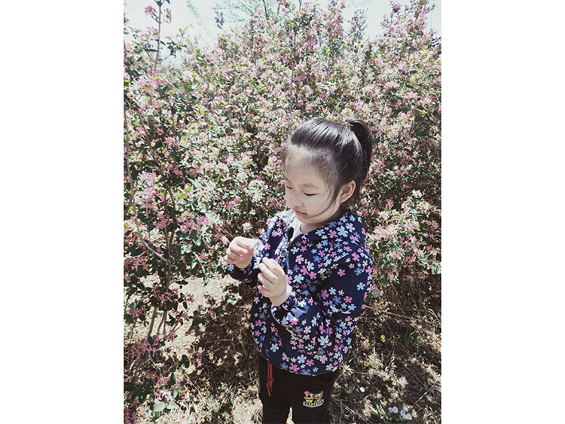 S36ɳ���� - Ҫ�����ɳ����