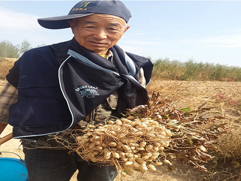 S36ɳ���� - Ҫ�����ɳ����