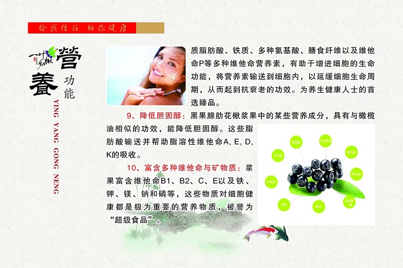 S36ɳ���� - Ҫ�����ɳ����