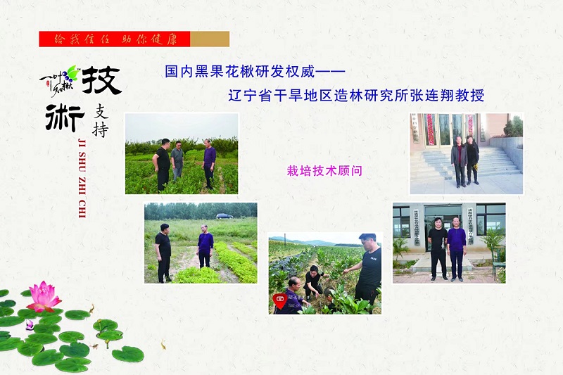 S36ɳ���� - Ҫ�����ɳ����