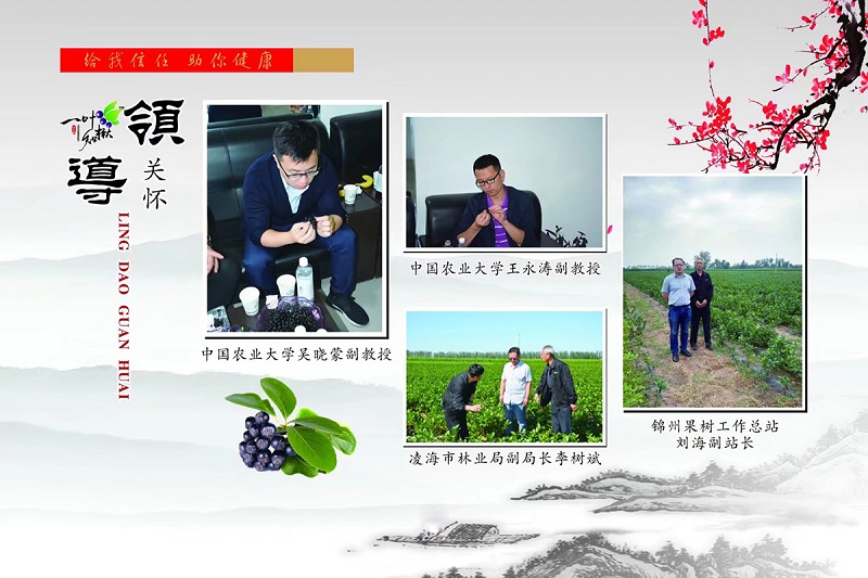 S36ɳ���� - Ҫ�����ɳ����