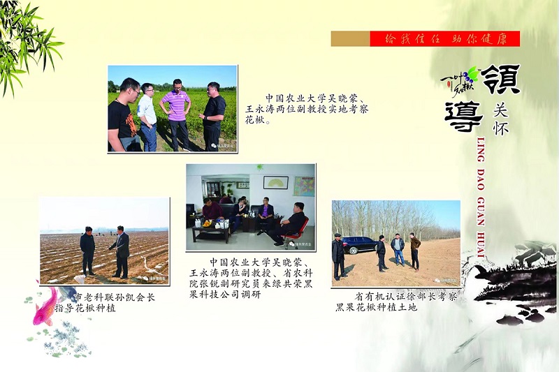 S36ɳ���� - Ҫ�����ɳ����