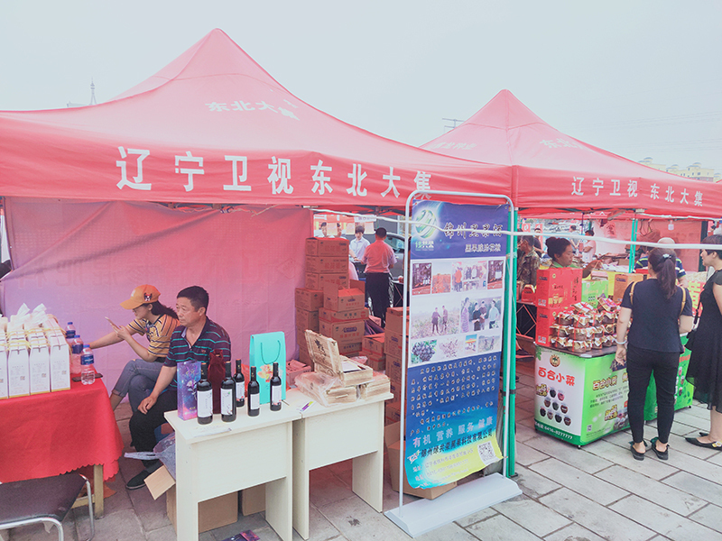 S36ɳ���� - Ҫ�����ɳ����