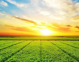 ����S36ɳ����������������������������޹�˾