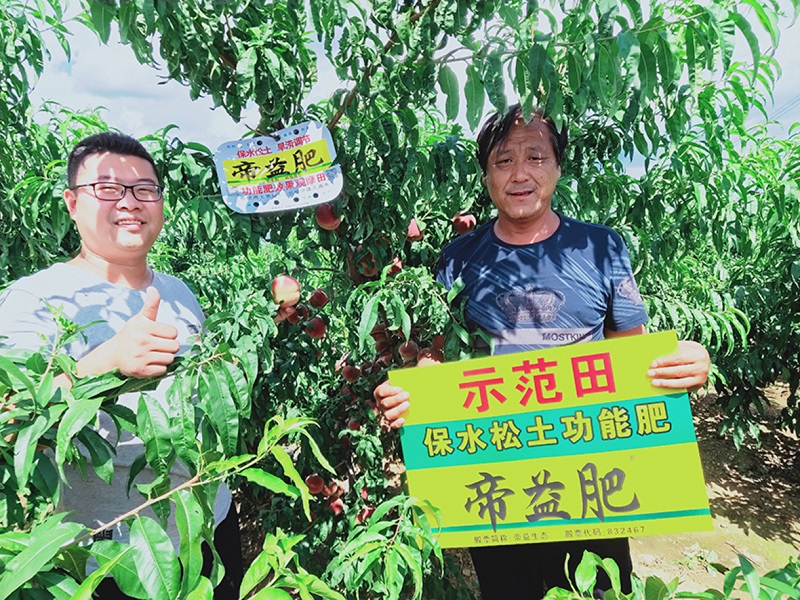 S36ɳ���� - Ҫ�����ɳ����