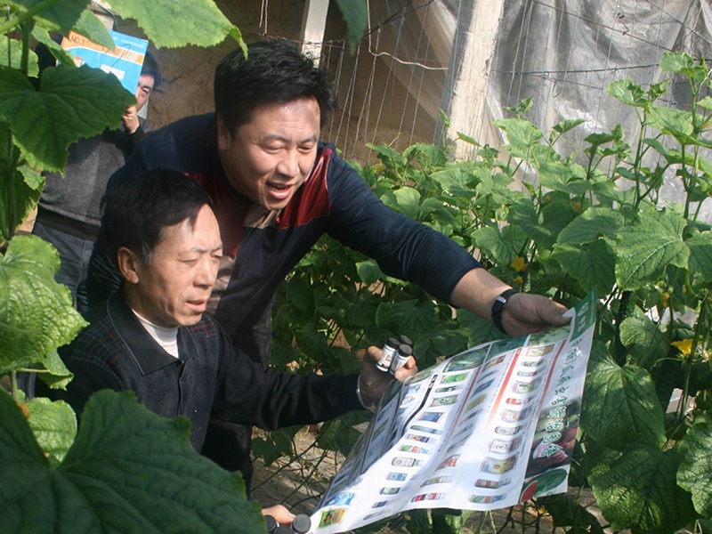 S36ɳ���� - Ҫ�����ɳ����