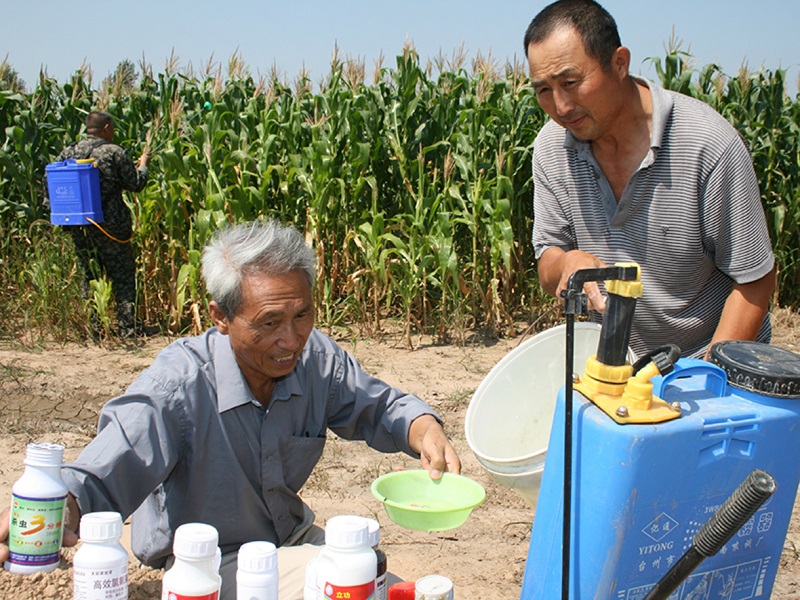 S36ɳ���� - Ҫ�����ɳ����