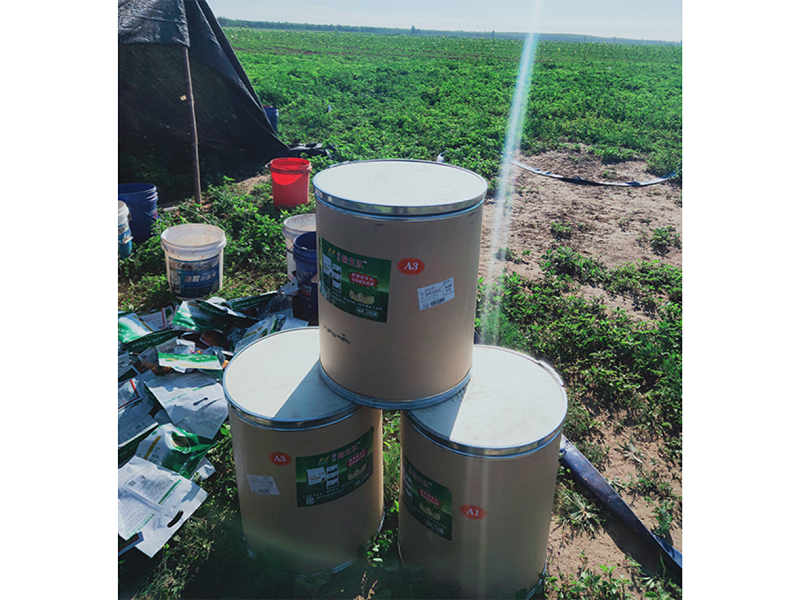 S36ɳ���� - Ҫ�����ɳ����