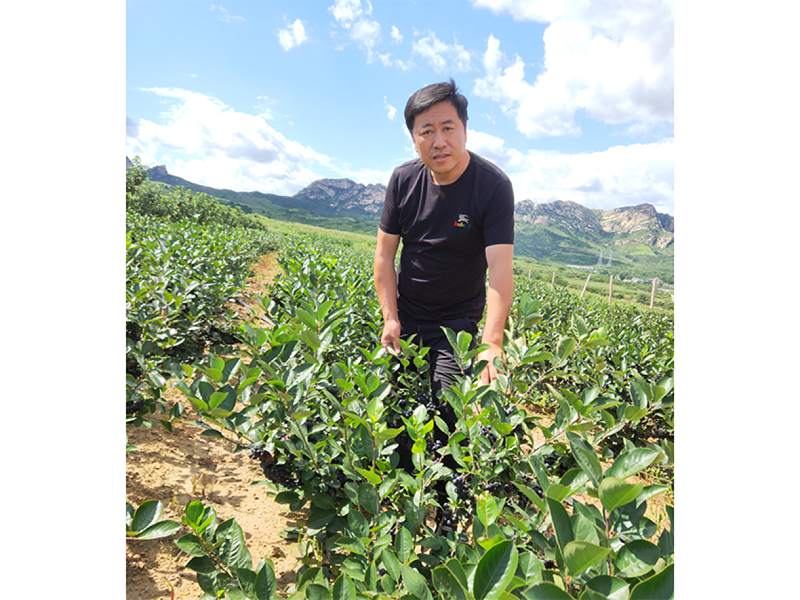 S36ɳ���� - Ҫ�����ɳ����