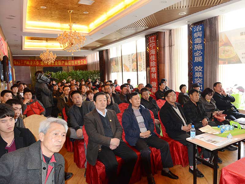 S36ɳ���� - Ҫ�����ɳ����